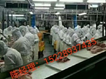 出國勞務(wù) 抓住國外雇主直招機遇，建筑工與工廠普工月薪高達(dá)3.5萬，天津移民與建筑工程新選擇